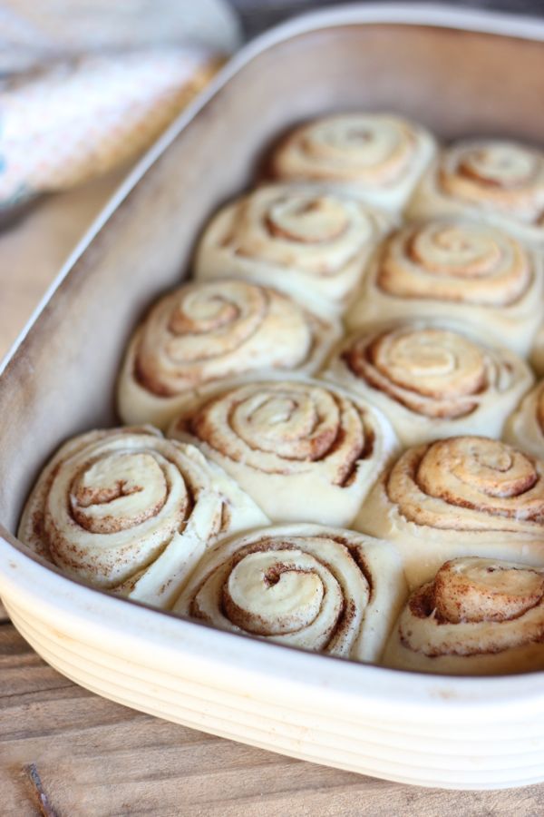 Maple Glazed Cinnamon Roll dough sliced and placed in a baking dish.  