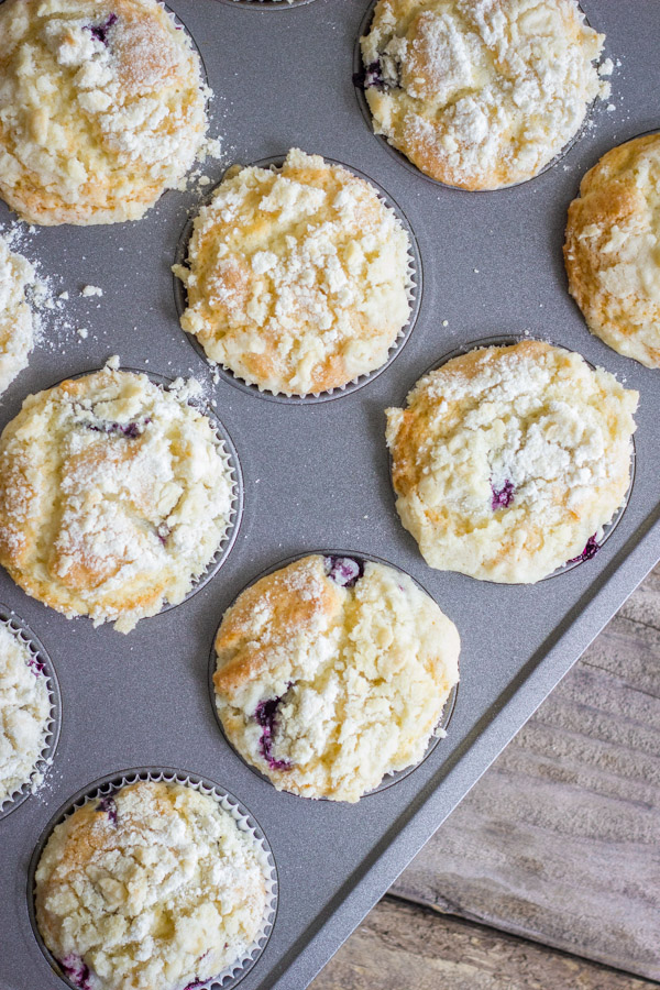 https://d2t88cihvgacbj.cloudfront.net/manage/wp-content/uploads/2014/02/Lemon-Blueberry-Greek-Yogurt-Muffins-2.jpg?x24658