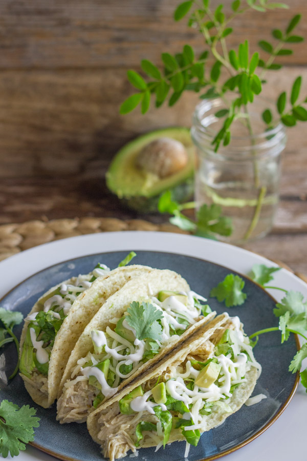 Easy Creamy Crockpot Salsa Verde Chicken in crunchy taco shells with shredded lettuce, diced avocado, sour cream and cilantro, on a plate, with a halved avocado in the background along with some greenery in a glass jar.  