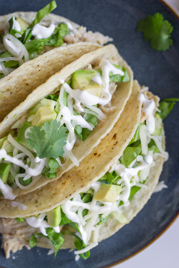 Easy Creamy Crockpot Salsa Verde Chicken in crunchy taco shells with shredded lettuce, diced avocado, sour cream and cilantro, on a plate.  