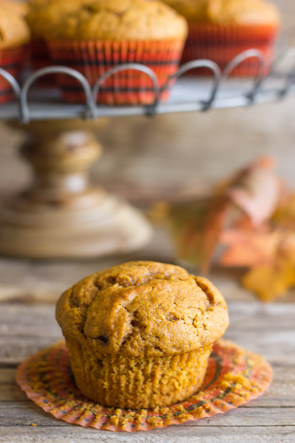 Pumpkin Mini Muffins - Cupcake Diaries