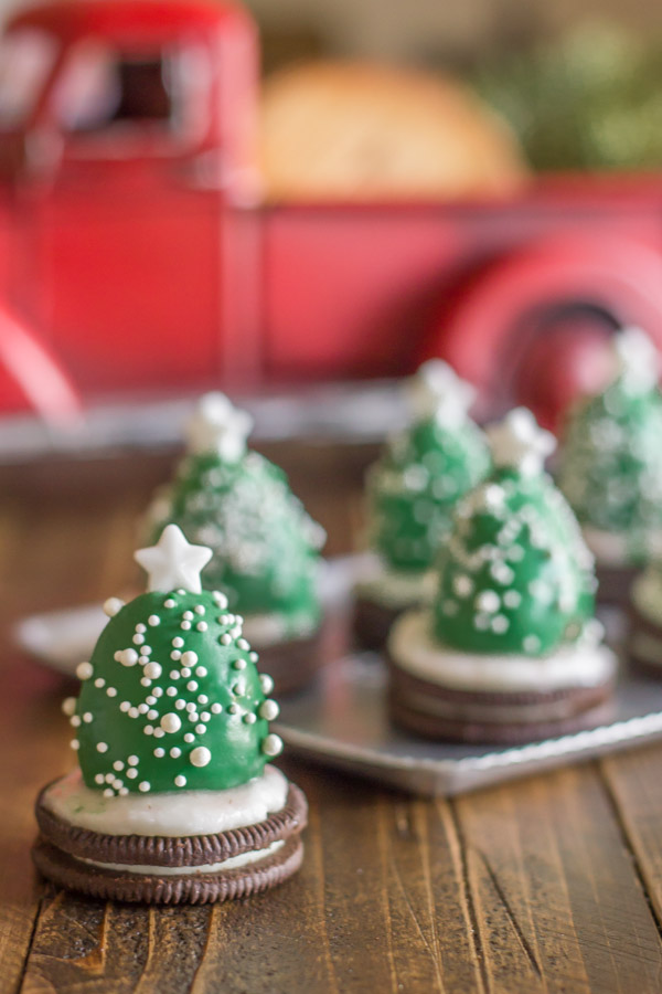 Chocolate Covered Strawberry Christmas Trees