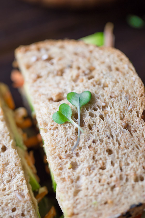 The top of the Power Veggie Sandwich with two pieces of micro greens placed on top.  