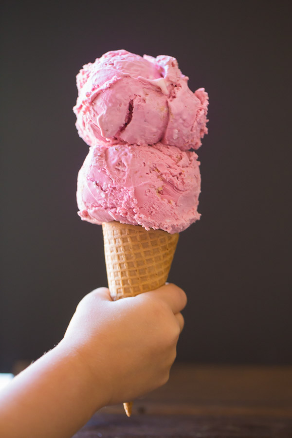 Two scoops of Homemade Raspberry Cheesecake Ice Cream on a waffle cone being held by a child's hand. 