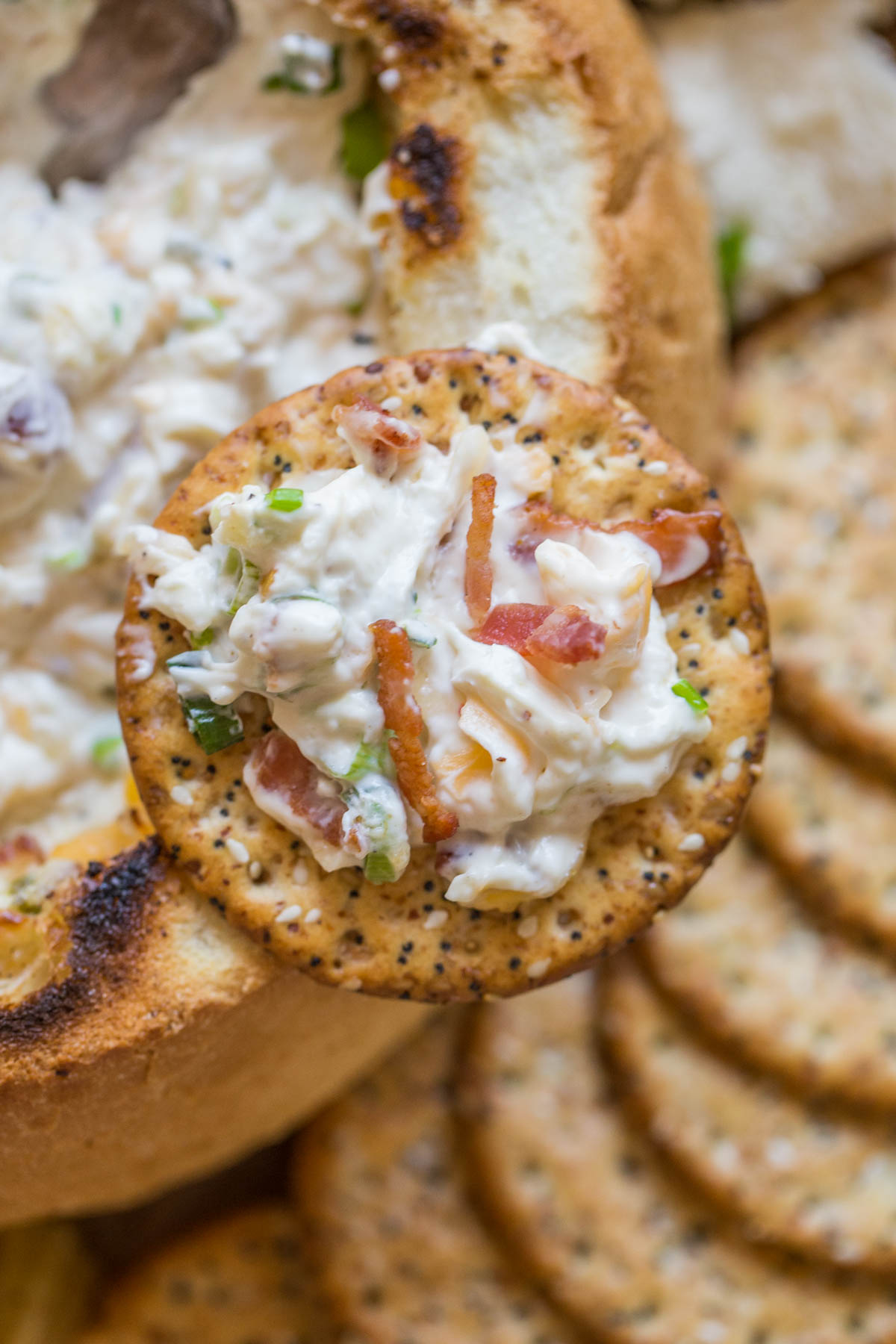 Three Cheese Bacon Dip on a cracker, with the dip in a bread bowl and crackers in the background. 