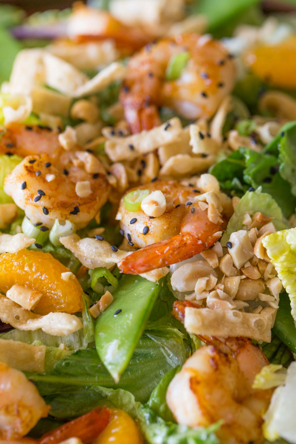 Close up of the Shrimp Salad. 