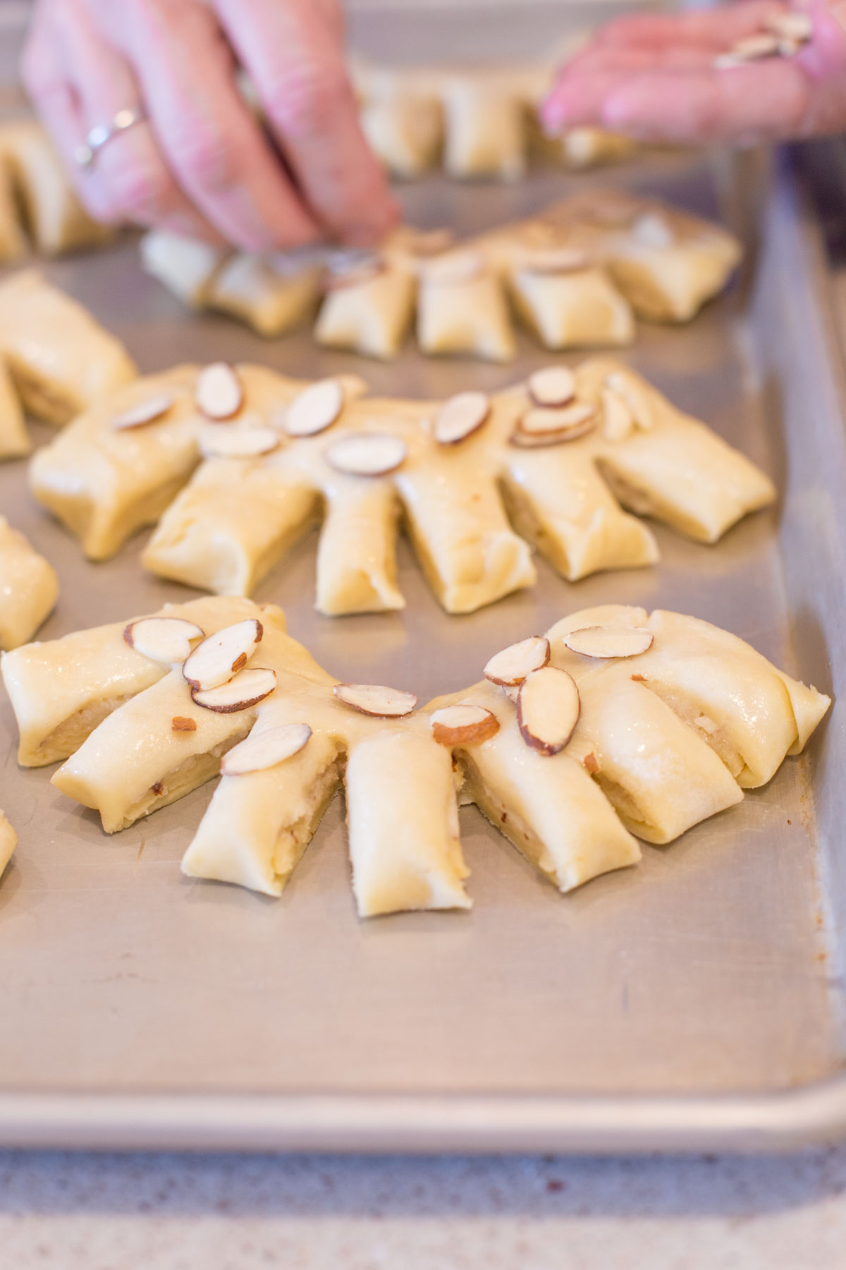 bear claw pastry