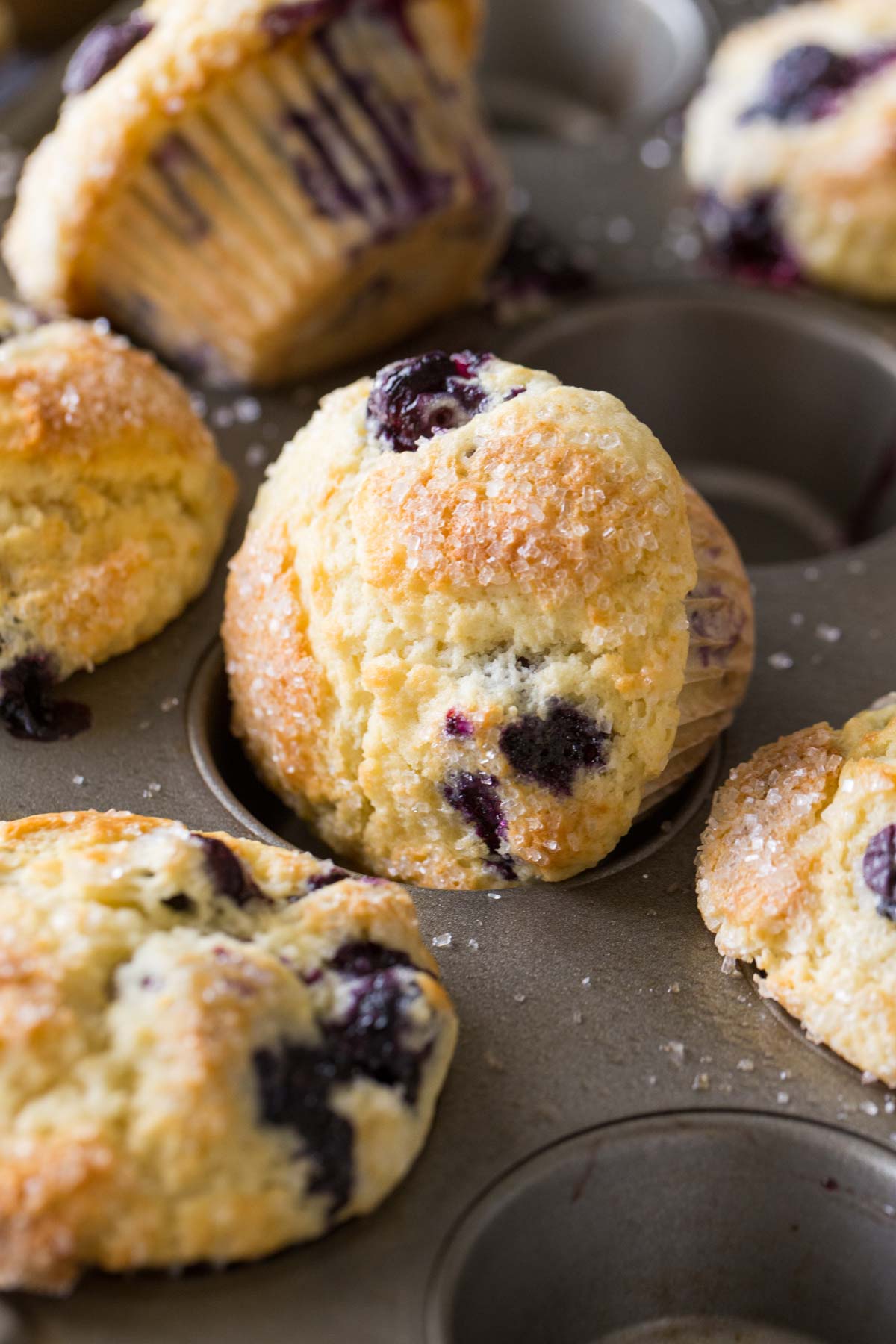 A close up view of Best Ever Buttermilk Blueberry Muffins in a muffin pan. 