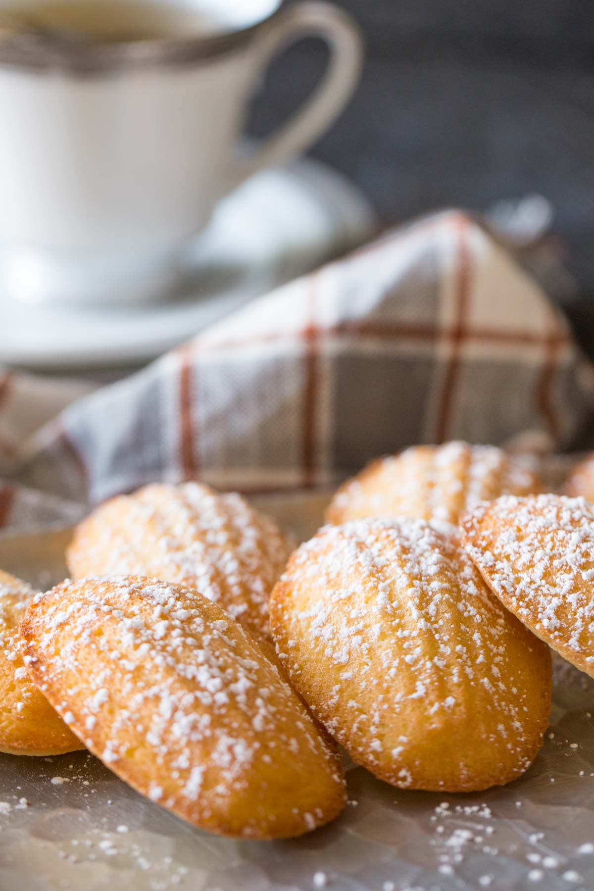 Close up of Lemon Vanilla Madeleines with a dusting of powdered sugar. 