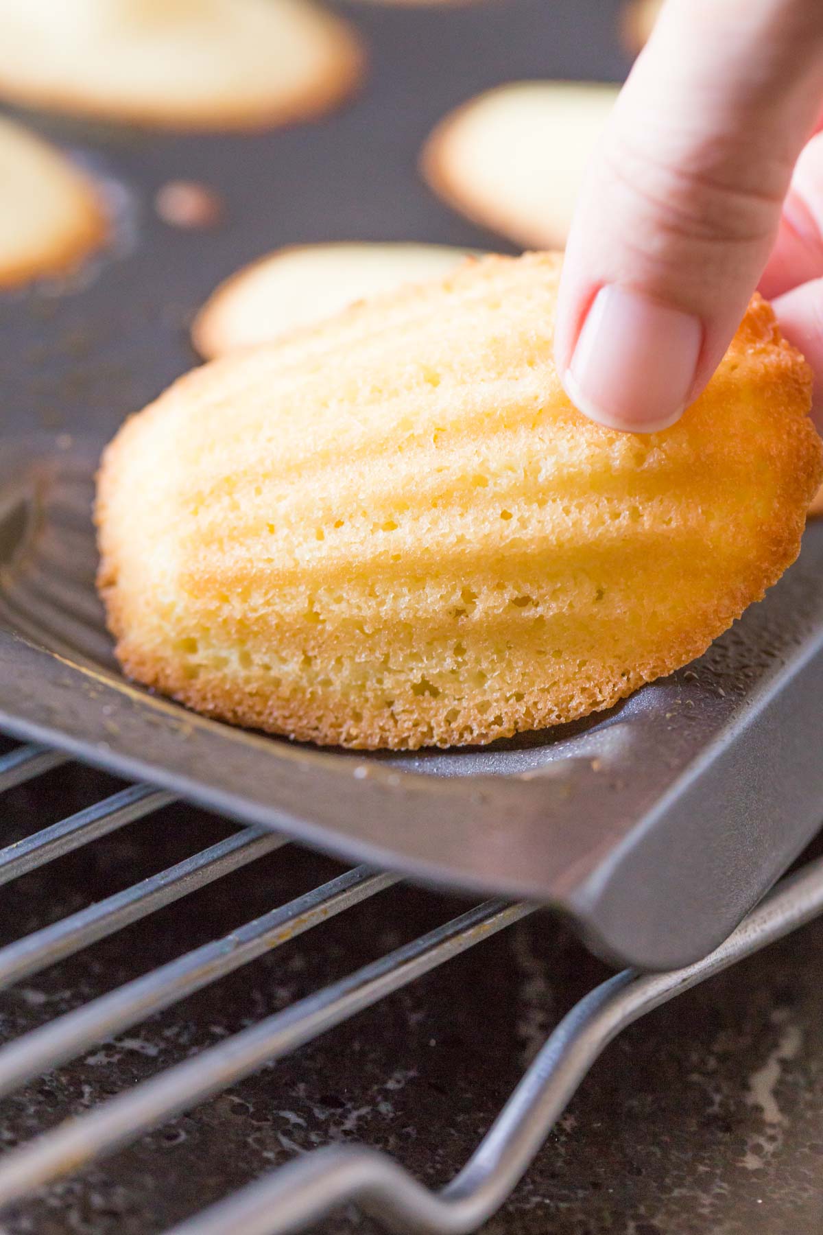 Close up view of a Lemon Vanilla madeleine lifting out of the pan. 