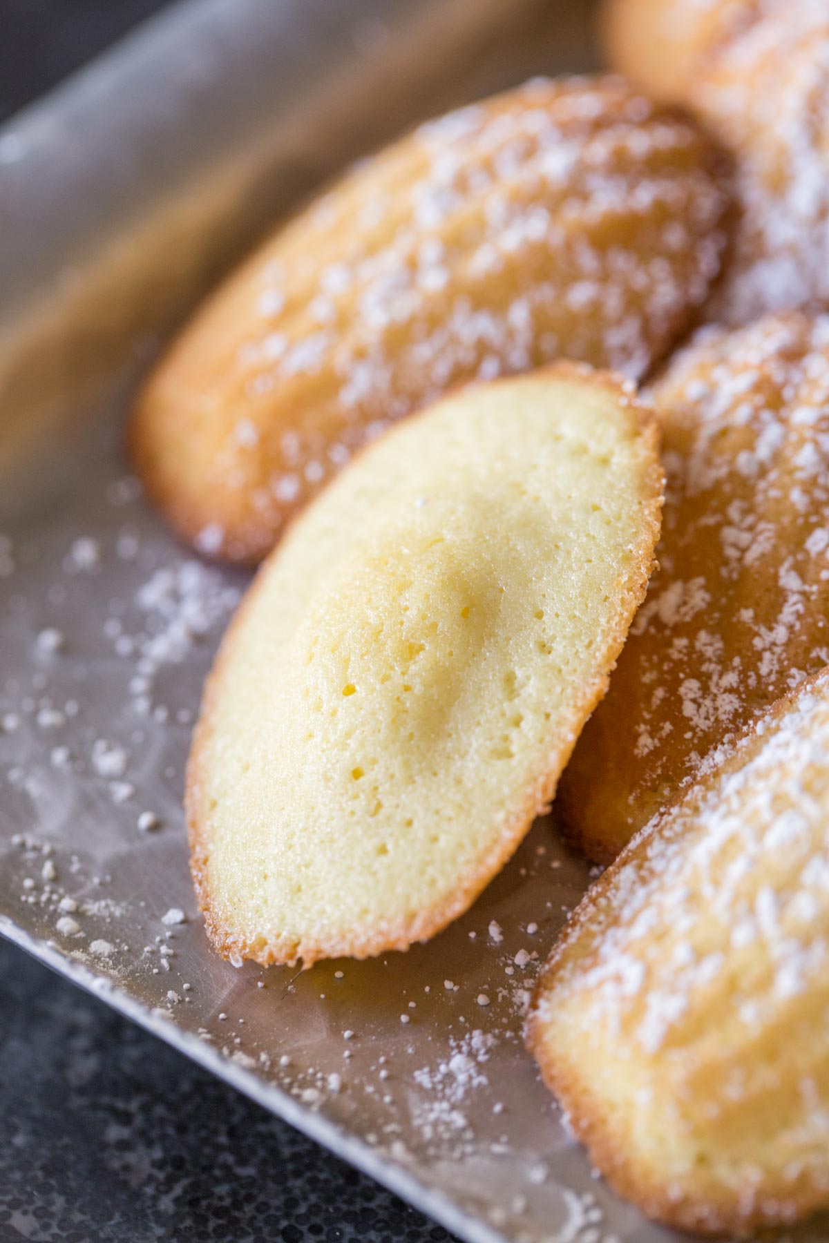 Close up view of Lemon Vanilla Madeleines dusted with powdered sugar. 