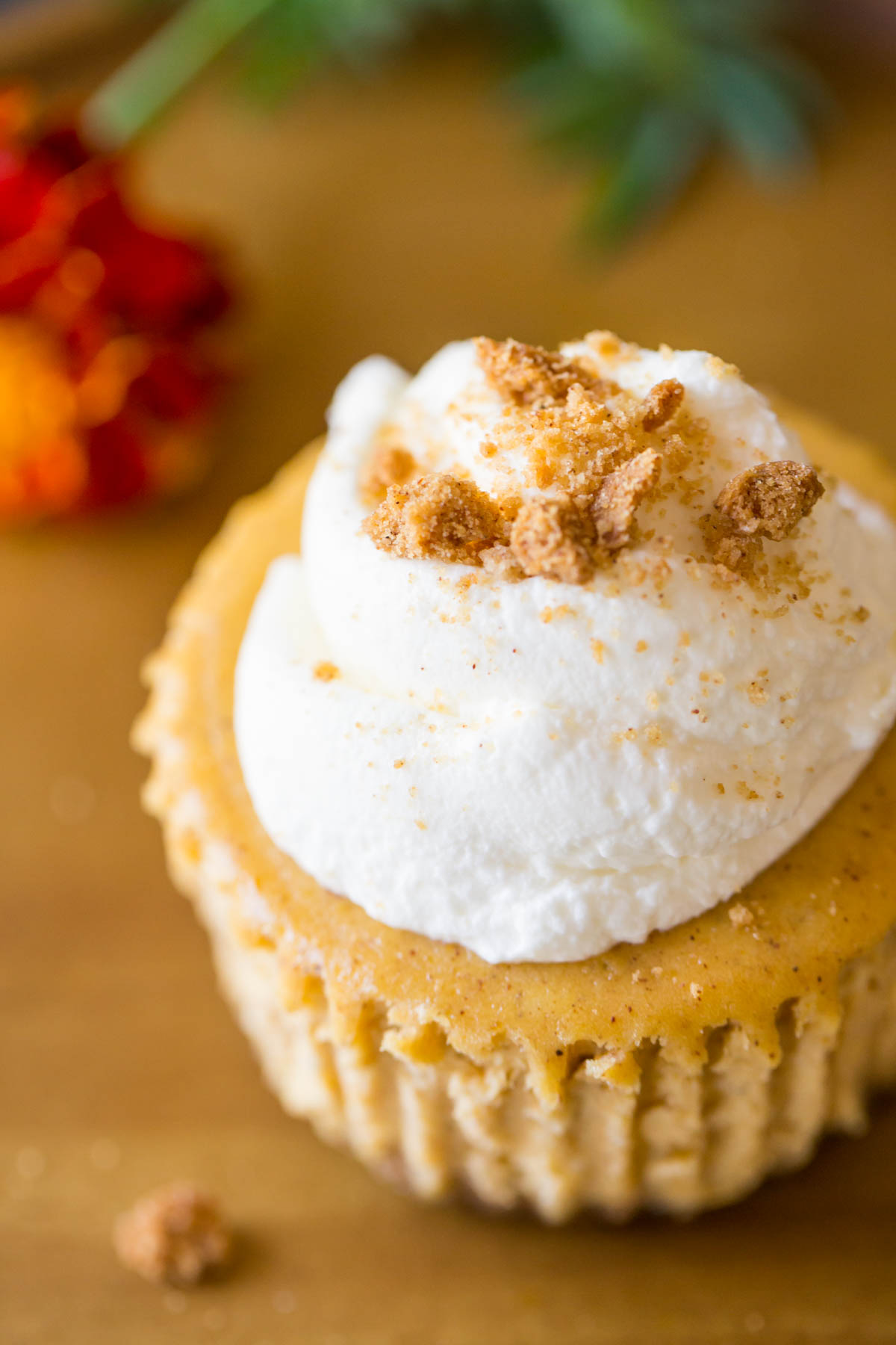 Close up shot of pumpkin spice cheesecakes topped with whipped cream