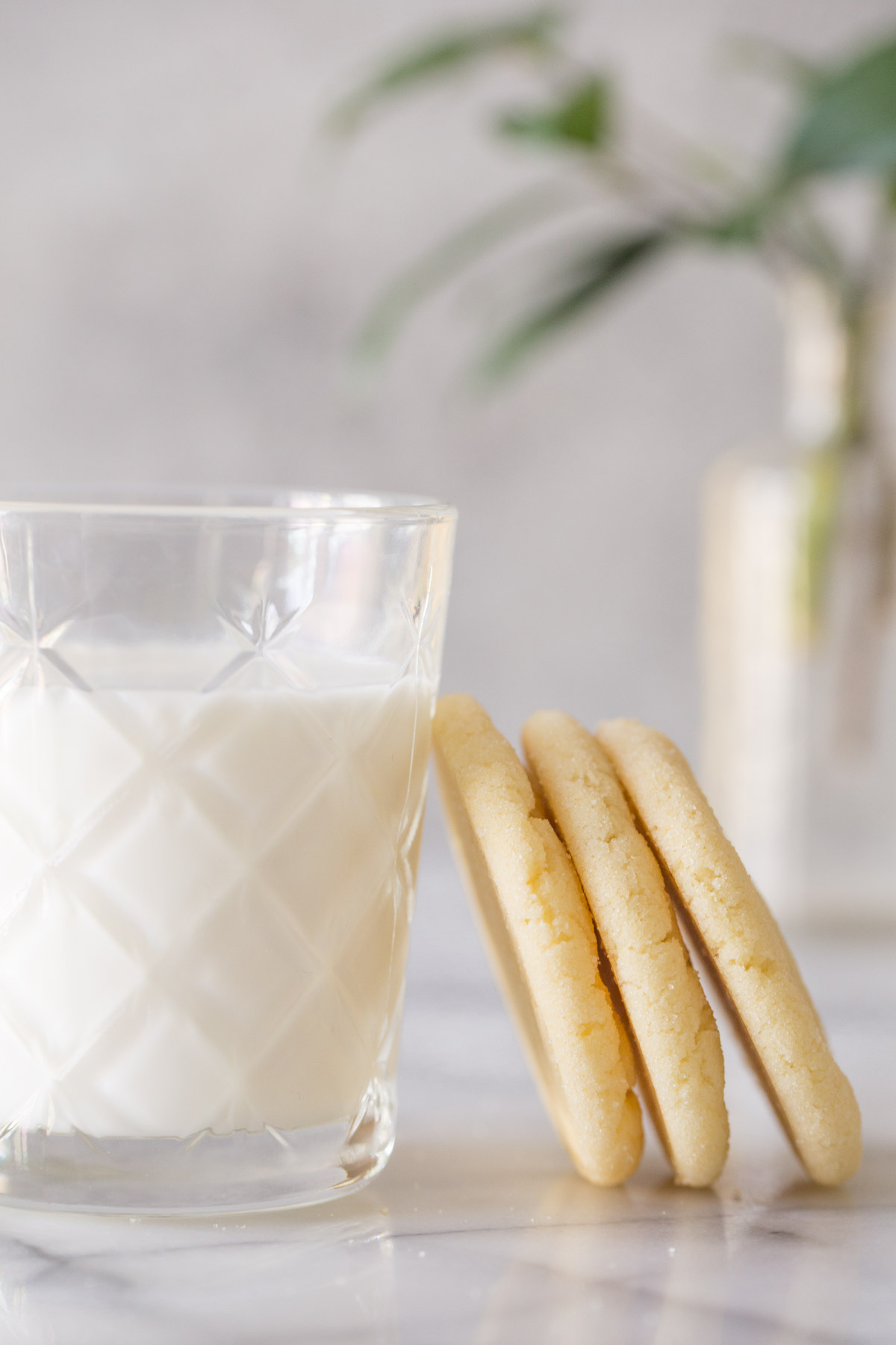 Three Soft and Chewy Sugar Cookies leaning against a glass of milk on a white background. 
