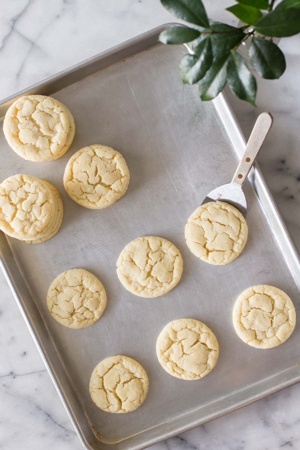 Overhead view of Soft and Chewy Sugar Cookies on a grey baking sheet.
