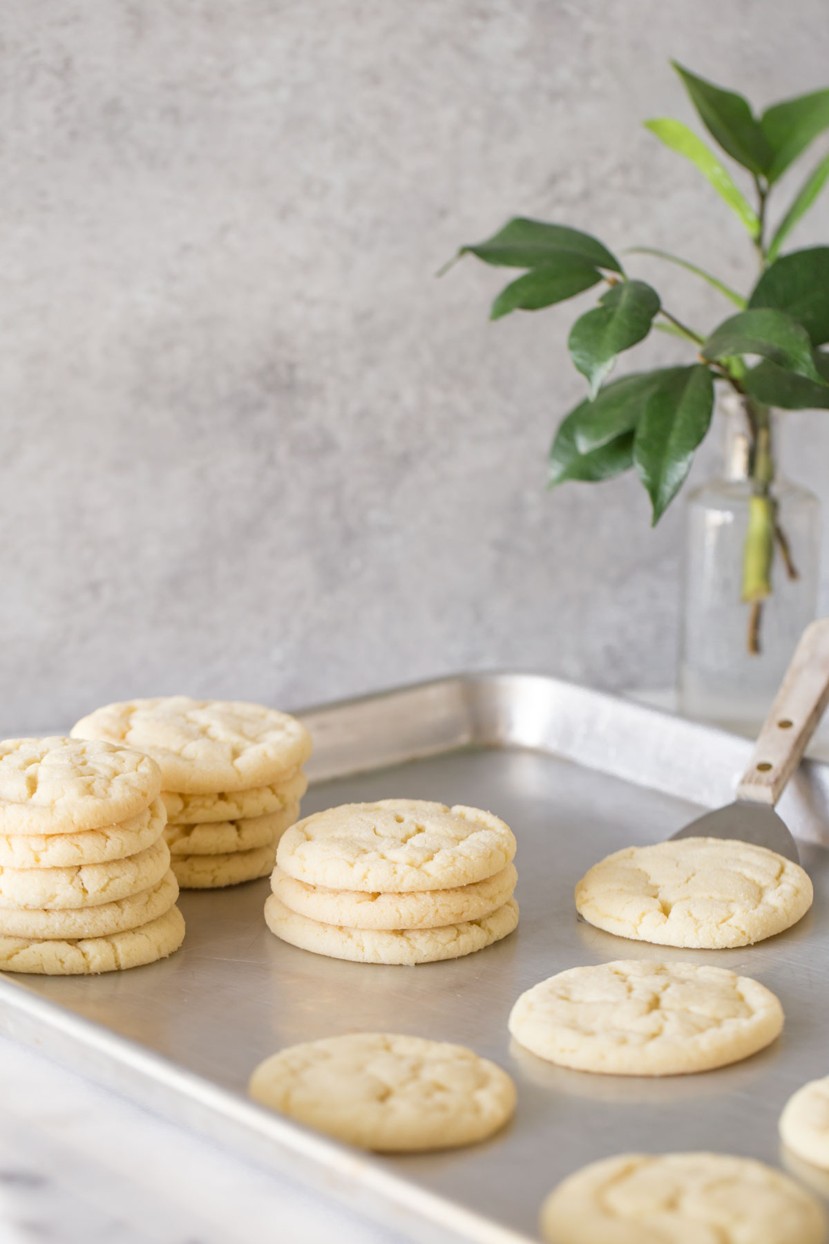 Soft & Chewy Sugar Cookies (without baking powder!) - M+M Kitchen