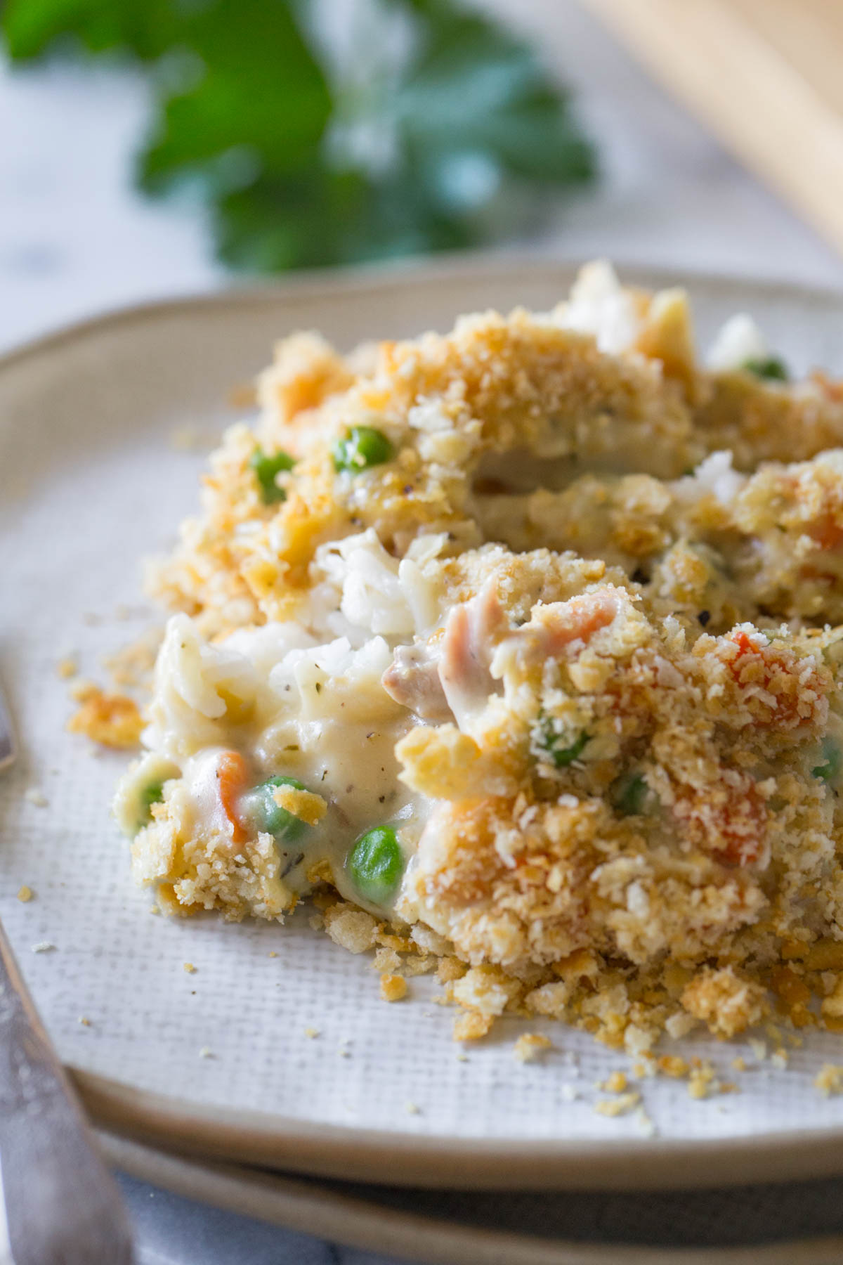 Close up view of Creamy Chicken and Rice Bake on a white plate. 