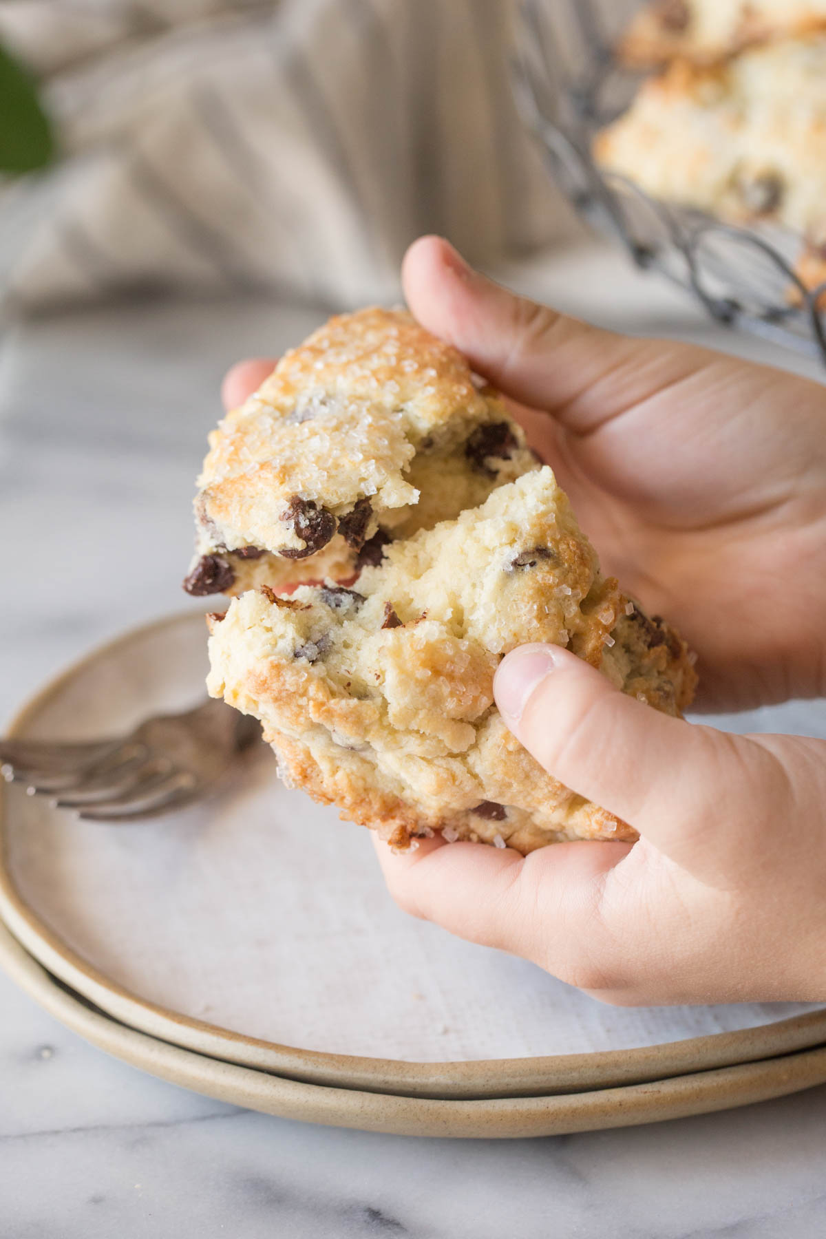 Two hands breaking open a Chocolate Chip Scone.  