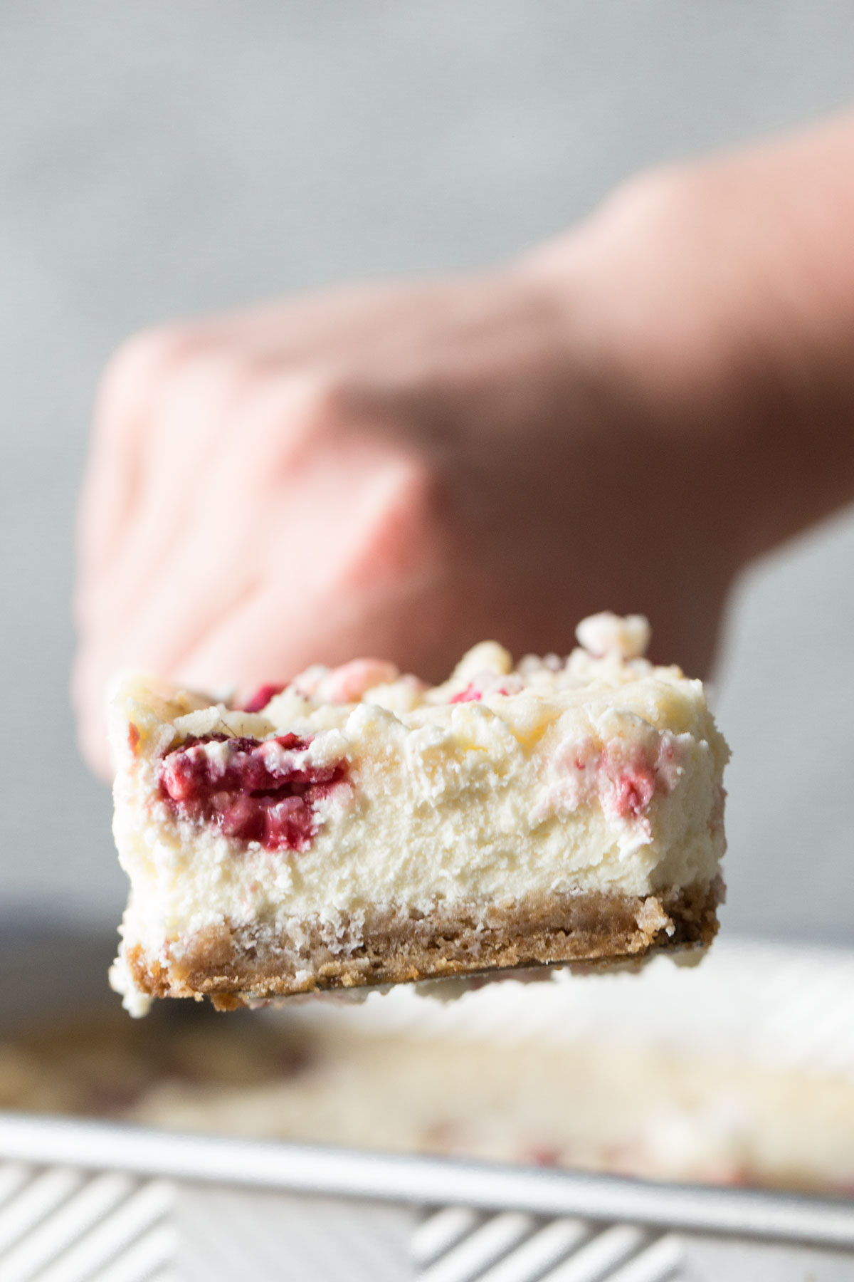 Close up shot of a Cheesecake Bar With Berry Streusel.  