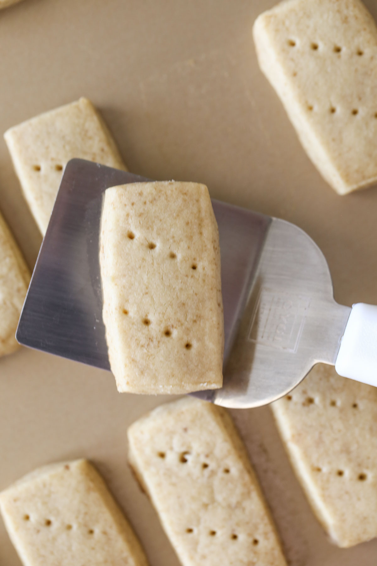 Close up shot of a spatula with a Buttery Shortbread Cookie held over the baking sheet with more Buttery Shortbread Cookies.  