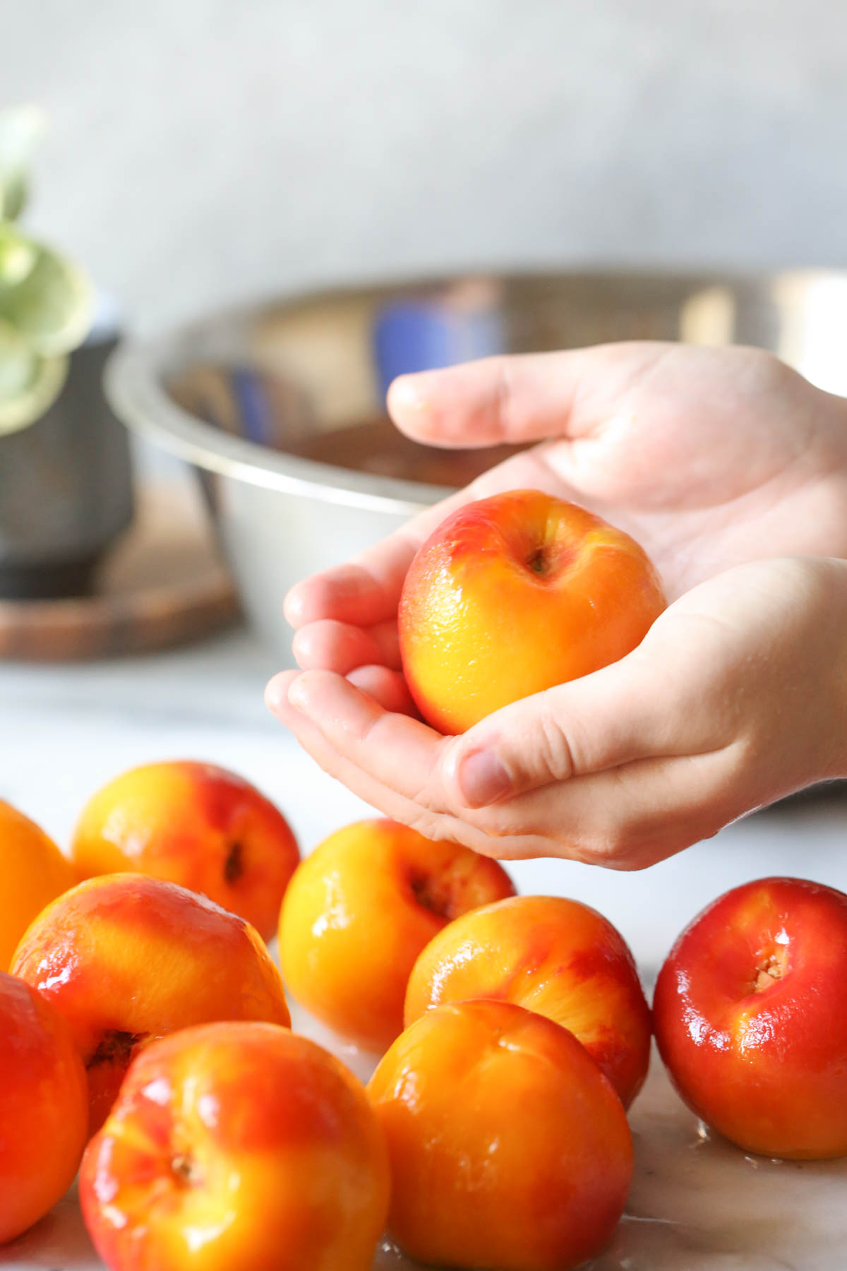 A hand holding a peach that has been peeled, with several more peeled peaches under the hand.  