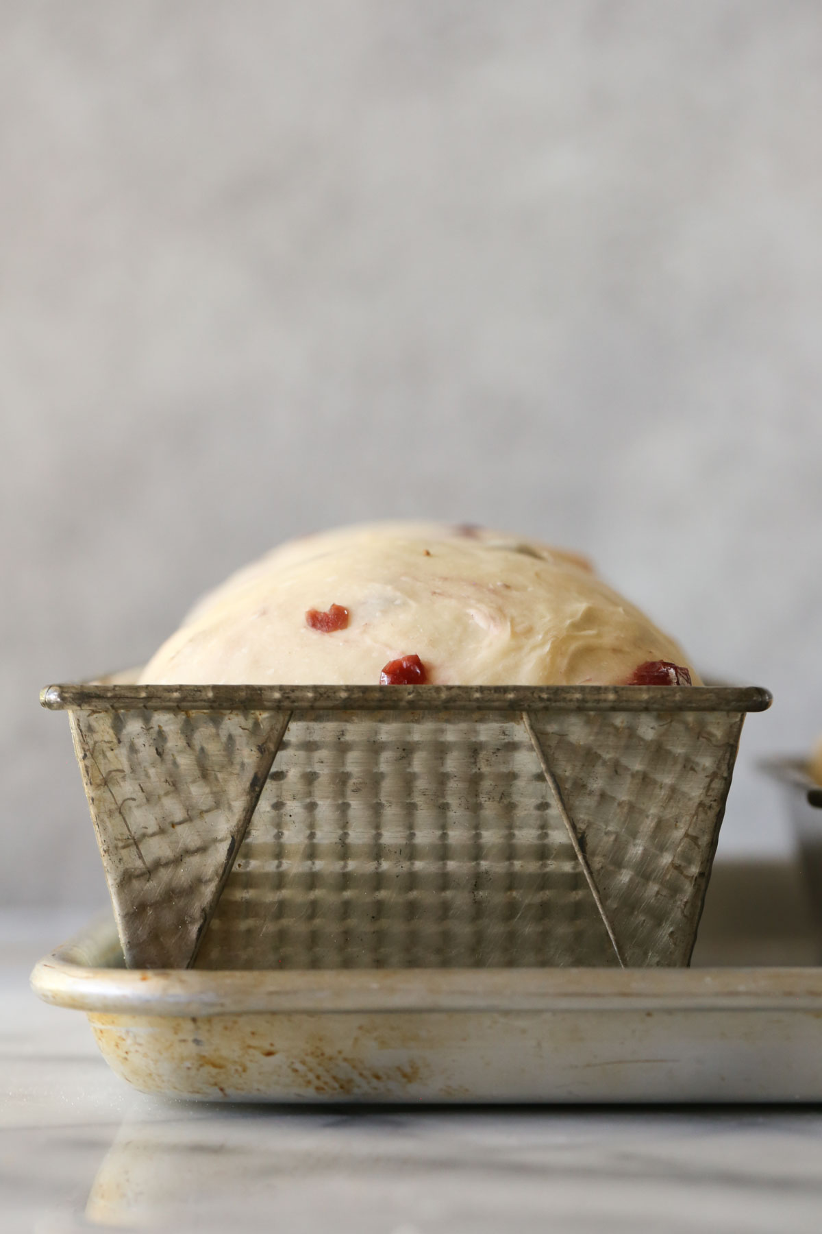 A metal loaf pan with the Sourdough Cranberry Bread dough after it has risen but before it has been baked.  