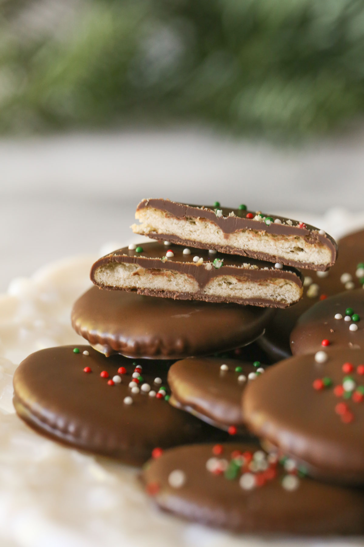 Close up shot of Copycat Thin Mints arranged on a white decorative plate, with one Copycat Thin Mint cookie cut in half showing the inside texture of the cookie. 