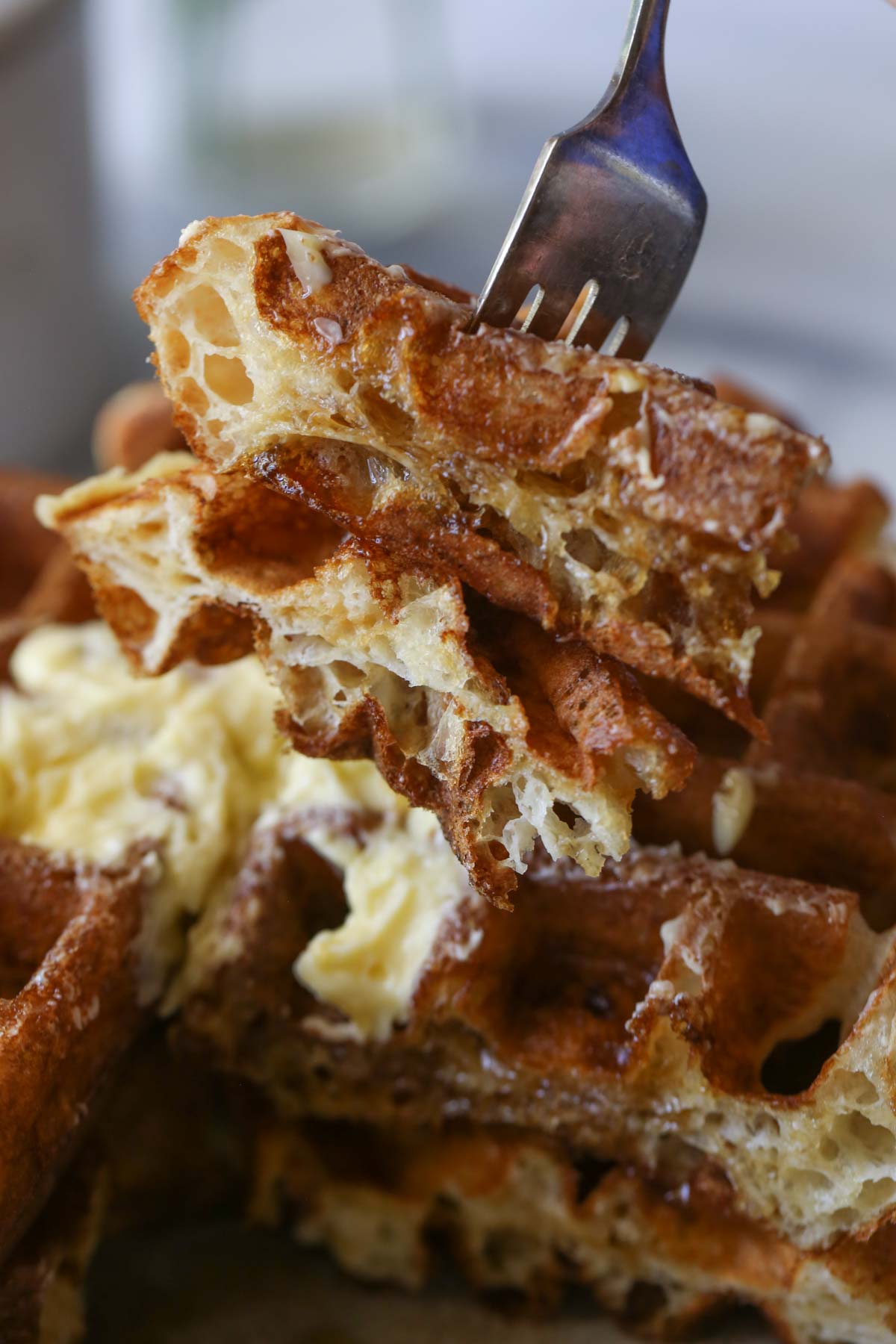Close up shot of a fork poked into Overnight Sourdough Waffles, showing the inside texture, held above two stacked waffles on a plate.